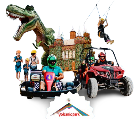 Persona viendo computadora